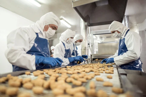 Group of food factory workers inspecting the quality of food on the conveyor belt.